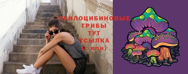 MESCALINE Надым
