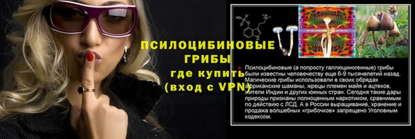 сатива Навашино