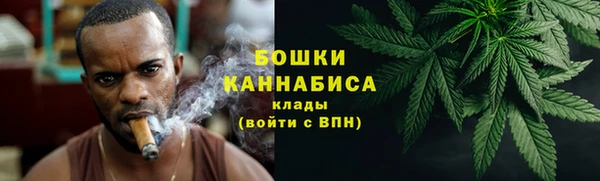 соль ск Нея