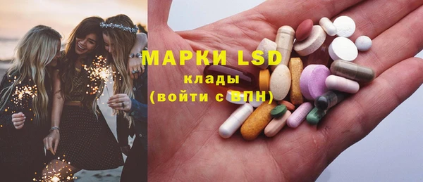 мдпв Гусев