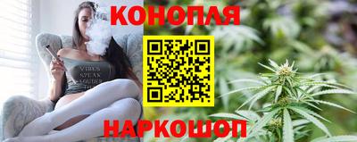 гашик Гатчина