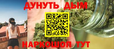 гашик Гатчина