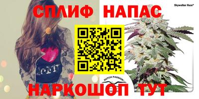COCAINE Гай