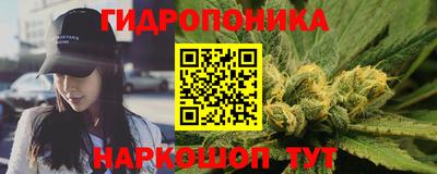 гашик Гатчина