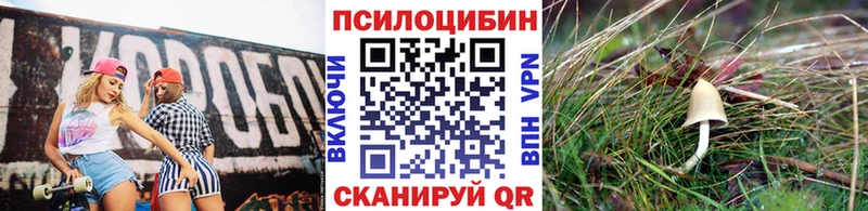 закладки  Чита  Псилоцибиновые грибы Magic Shrooms 