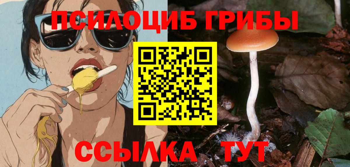 Галлюциногенные грибы Psilocybe  купить   Чита 