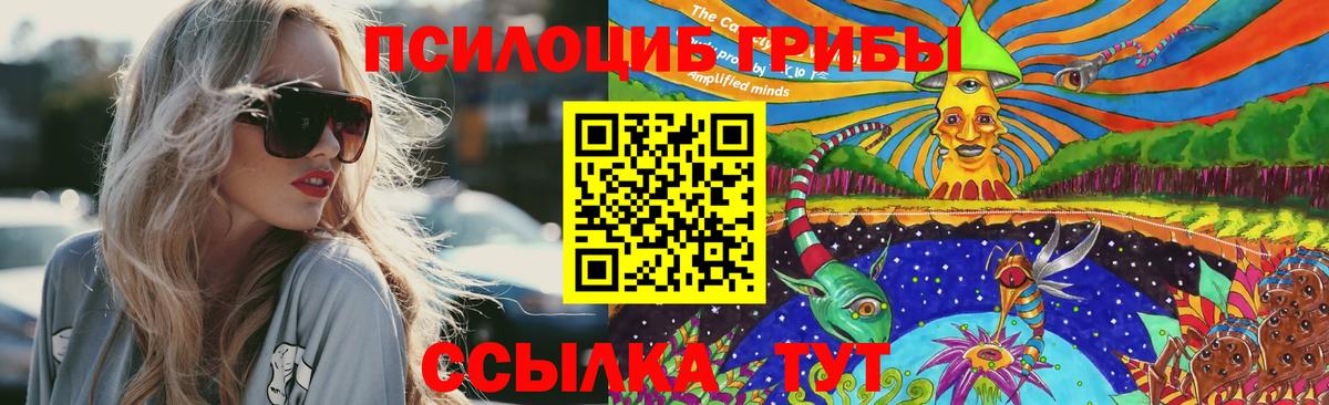Галлюциногенные грибы Magic Shrooms Чита